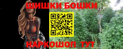 шишки Бузулук