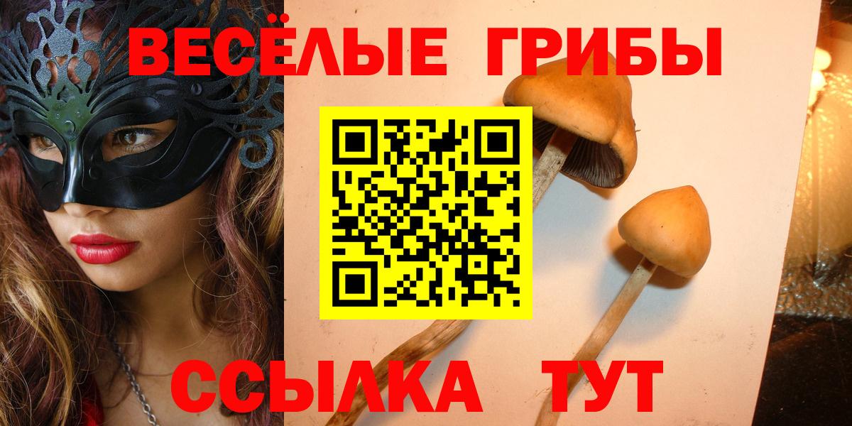 Галлюциногенные грибы мухоморы  Вход с VPN  Галлюциногенные грибы ЛСД  Шарыпово 